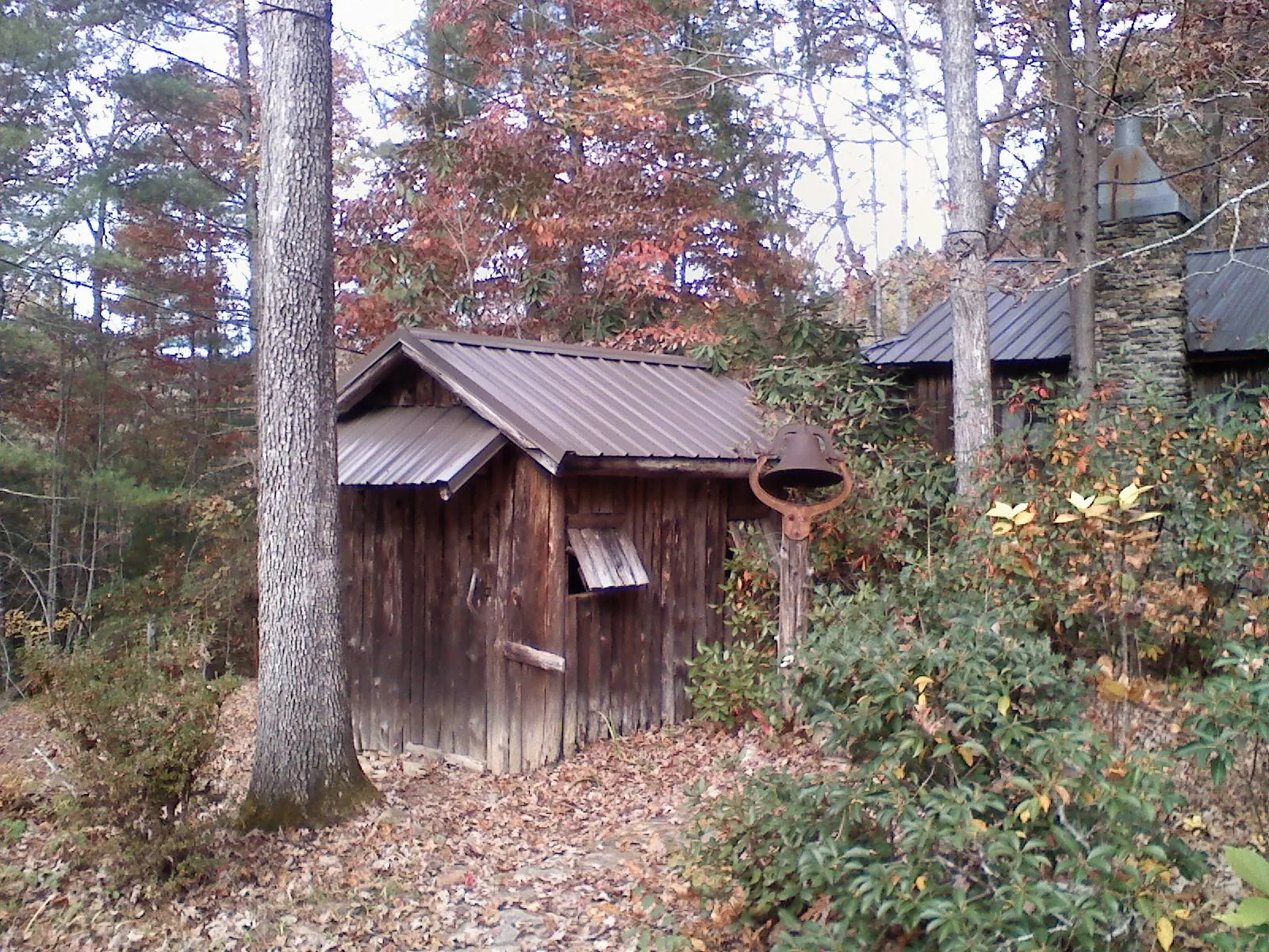 Small metal roof on a rough sawn shed in the woods in Fletcher